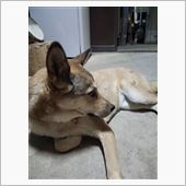 最近の春ｗｗ