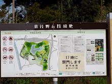 泉佐野丘陵緑地に行ってみた 泉佐野丘陵緑地に行ってみた