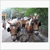 ブラザーが悔しがる2馬力仕様 ...