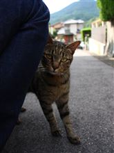 久しぶりの再会☆