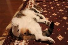 結果がキタァ～＾＾：汗