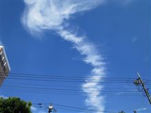 すっかり秋らしく・・・