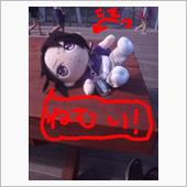 例の場所に行ってきたった