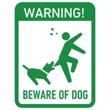 野良犬に噛まれたorz
