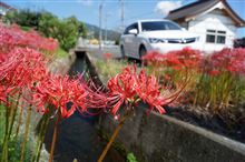連休3日目。今日はゆらんなーと写真撮影だ! 連休3日目。今日はゆらんなーと写真撮影だ!