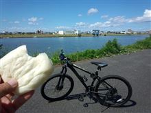 信濃川の堤防を