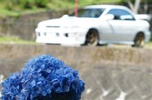 マイナスイオンで癒され ~ガソリンを減らして~ ・・・ のち キティちゃん♪ マイナスイオンで癒され ~ガソリンを減らして~ ・・・ のち キティちゃん♪