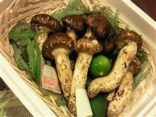 タマには、ゆっくり タマには、ゆっくり