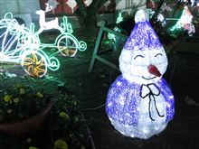 時之栖のイルミネーション