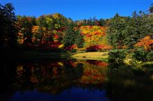 紅葉を求めて　秋分の日　北海道　いろいろ三のつく旅