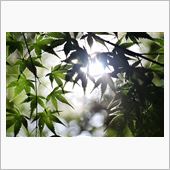 夏休み♪