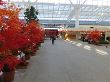 羽田空港国際線旅客ターミナル・20140930その１ 