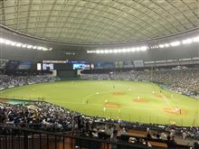 野球観戦（埼玉西武VS北海道日本ハム）