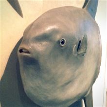 舛☆要一。