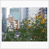 五反田駅前交番まえの・・・