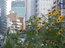 五反田駅前交番まえの・・・