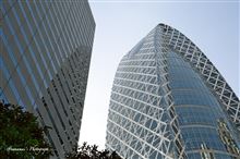 西新宿にも秋の気配 