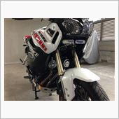 ダブルホーン化