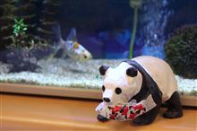 金魚・・・★
