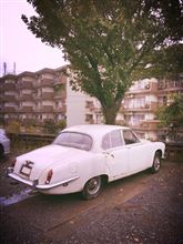 Jaguar 420 ☆ 草むらのRacer