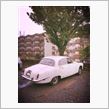 Jaguar 420 ☆ 草むらのRacer