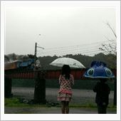 台風去って、また台風？？