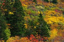 週末雑記　北東北　紅葉ドライブ＆八甲田登山
