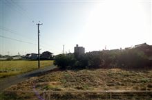 おはよ～～( ￣Д￣)σ)*￣-￣)オラオラ 【2014/10/08】