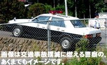 K察さん、カモが目の前通過してますよ～（笑）