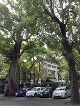 総社、内装、皆既月食、あかいいろ、夢。