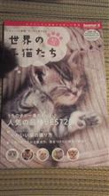 被弾しました&#180;`ｧ,､ｧ(*&#180;Д｀*)&#180;`ｧ,､ｧ