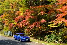 紅葉を求めて