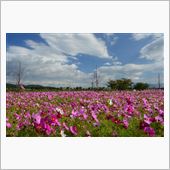 １０月１１日　３連休の始まり ...