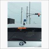 こやつ手強い・・