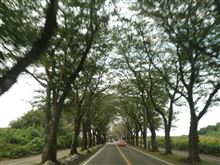 季節を感じました～