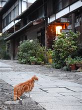 日本まんなかあたりの旅　８日目 愛知〜岐阜