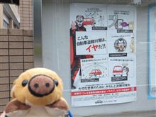 鉄拳（お笑い芸人）って、パトカーと似てない？
