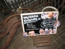 本日のお宿