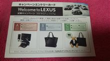 レクサスのスクリーンセーバーがかわいい☆ レクサスのスクリーンセーバーがかわいい☆