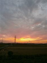 ヤル気は何処へ？？