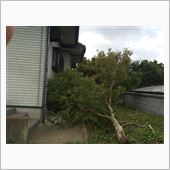 台風19号恐るべし