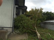 台風19号恐るべし