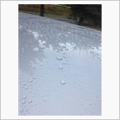 雨粒にニヤリ(￣▽￣)