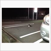 夜のお散歩♪