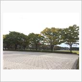 秋から冬が…