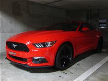 新型マスタング実車