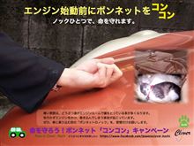 寒くなってきたら・・・コンコン！