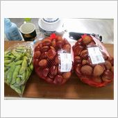 猪名川まで行ってきた