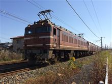 EF81 627号機（10/18撮影）
