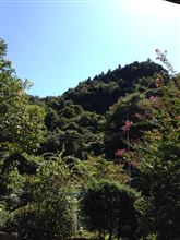 古き良き日本かな